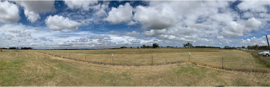 banner image 23